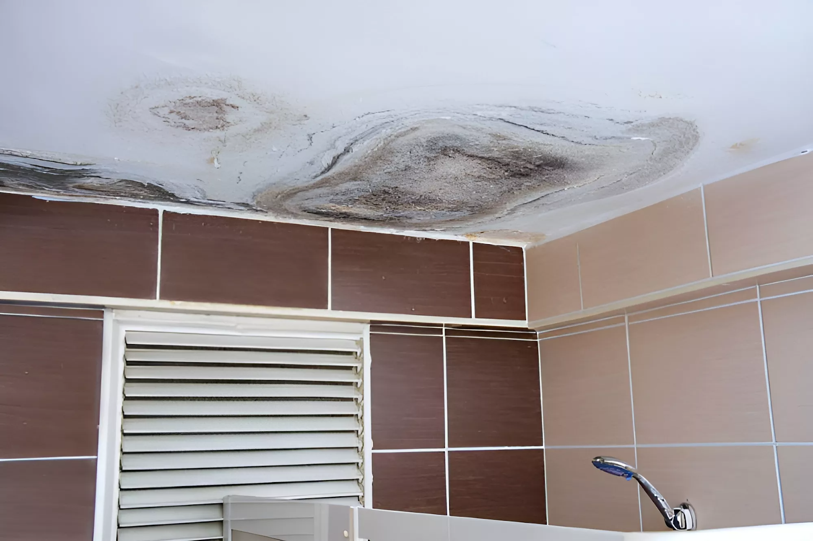 How To Prevent And Remove Mould Growth On Bathroom Ceiling
